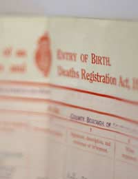 Birth Certificate Identity Fraudster